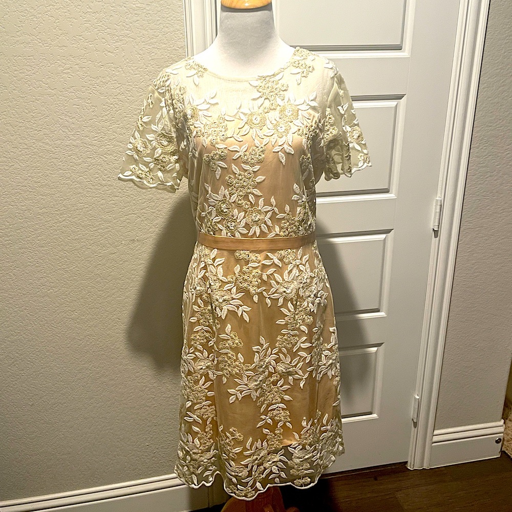 Mesh embroidered overlay dress